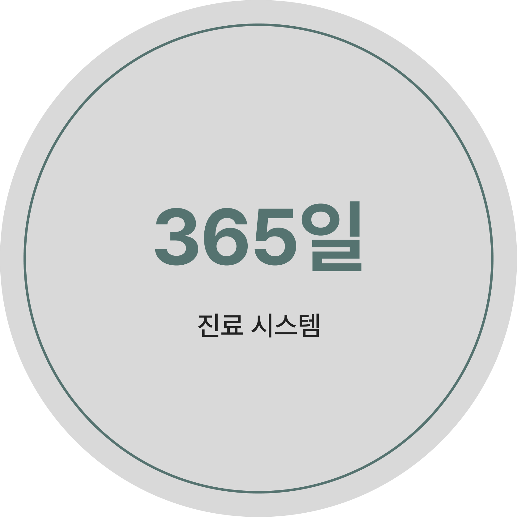 365일